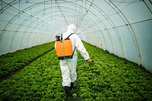Best Best Pest Control Companies  in Edgewater, FL