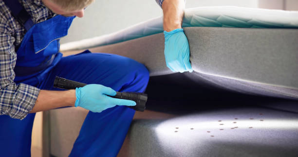 Best Flea Control Services  in Edgewater, FL