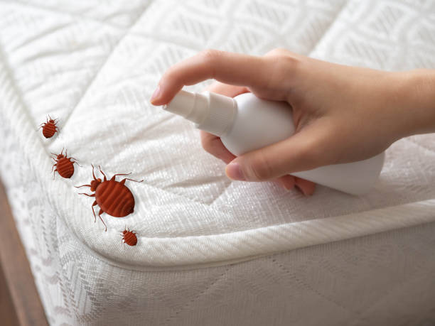 Best Pest Control for Homes  in Edgewater, FL