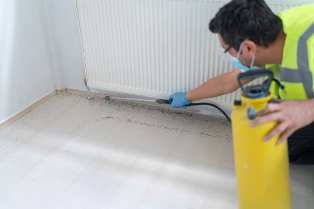 Best Insect Control  in Edgewater, FL